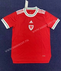 22-23  Wales Home Red Thailand Soccer Jersey AAA-2390