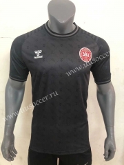 2022-23 Denmark goalkeeper black Thailand Soccer Jersey AAA-416