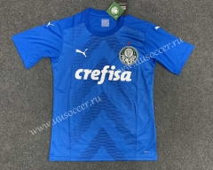 2022-23 SE Palmeiras goalkeeper Blue Thailand Soccer Jersey AAA-GB
