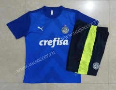 2022-23 Palmeiras Cai Blue Short-sleeved Thailand Soccer Tracksuit-815