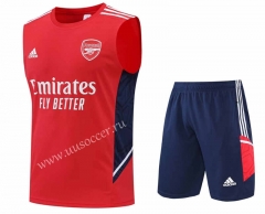 2022-23 Arsenal Red Thailand Soccer Training Vest Uniform-4627