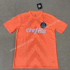 2022-23 SE Palmeiras Orange Thailand Soccer Training Jersey-2851