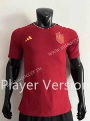 Player version 2022-23 Spain Home Red Thailand Soccer Jersey AAA-4691