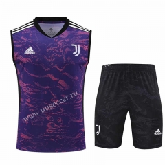 2023-24 Juventus FC Purple  Thailand Soccer Vest Uniform-418