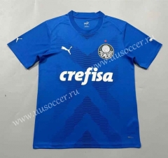 （s-4xl）2023-24  SE Palmeiras Goalkeeper Blue  Thailand Soccer Jersey AAA-908