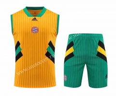 2023-24 Bayern München Yellow Thailand Soccer Vest unifrom-4627