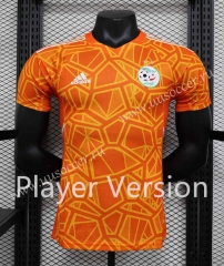 Player Version 2023-24 Algeria Orange Soccer Thailand jersey-888