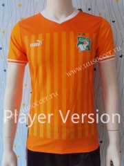 Player Version 2023-24 Cote d'Ivoire Home Orange Soccer Thailand AAA-807