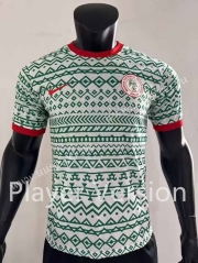 Player Version 2023-2024 Nigeria White&Green Thailand Soccer Jersey AAA-9753
