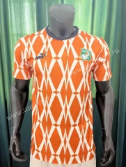 2023-2024 Ivory Coast Home Yellow Thailand Soccer Jersey AAA-305