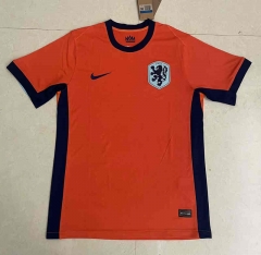 24-25 Netherlands Home Orange Thailand Soccer Jersey AAA-818