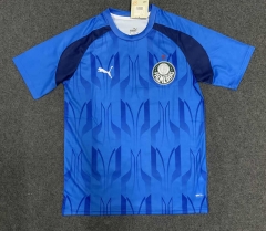 2024-25 SE Palmeiras Blue Thailand Soccer Training Jersey-GB
