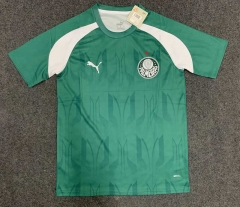 2024-25 SE Palmeiras Green Thailand Soccer Training Jersey-GB